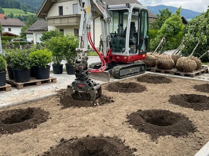 Ausbaggerung für Planzen & Bäume
